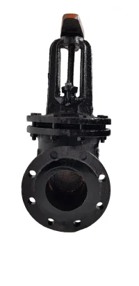 Задвижка чугунная 31ч6бр Ру16 Ду100 ИК-2 Казань