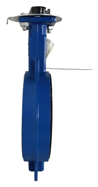 Затвор дисковый поворотный Ду150 (тип 32ч1р) СИБЗТА