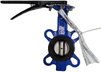 Затвор дисковый поворотный Ду50 (тип 32ч1р) СИБЗТА