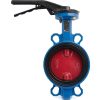 Затвор дисковый поворотный чугун VPI4448-02NI Ду 125 Ру16 Tecofi