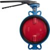 Затвор дисковый поворотный чугун VPI4448-02NI Ду 300 Ру16 Tecofi