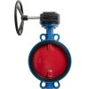 Затвор дисковый поворотный чугун VPI4448-08EP Ду 250 Ру16 с редуктором Tecofi