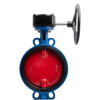 Затвор дисковый поворотный чугун VPI4448-08EP Ду 250 Ру16 с редуктором Tecofi