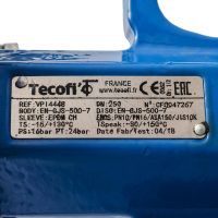 Затвор дисковый поворотный чугун VPI4448-08EP Ду 250 Ру16 с редуктором Tecofi