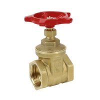 Задвижка клин лат Ду15 Ру16 м/м Giacomini R55Y003