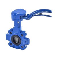 Затвор поворот чуг EPDM Ду32 Ру16 д/нерж Danfoss 065B7365/149G019040