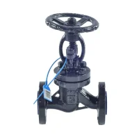 Клапан запорн ст 15с65нж Ду50 Ру16 фл HJCN