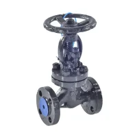 Клапан запорн ст 15с22нж Ду32 Ру40 фл HJCN