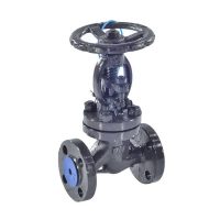 Клапан запорн ст 15с22нж Ду80 Ру40 фл HJCN