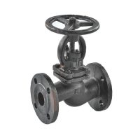 Клапан запорн чуг 15кч16нж Ду32 Ру25 фл TYCX