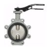 Затвор поворот чуг EPDM Ду125 Ру16 р/проуш д/чуг R59FL Giacomini R59FLX012