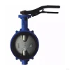 Затвор поворот чуг EPDM Ду40 Ру16 д/нерж R59W Giacomini R59WY004