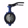 Затвор поворот чуг EPDM Ду80 Ру16 д/нерж R59W Giacomini R59WY008