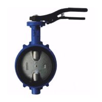 Затвор поворот чуг EPDM Ду100 Ру16 д/нерж R59W Giacomini R59WY010