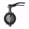 Затвор поворот чуг EPDM Ду200 Ру16 д/чуг R59W Giacomini R59WX020