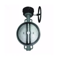 Затвор поворот чуг EPDM Ду400 Ру16 ред д/чуг R59W Giacomini R59WX040