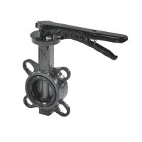 Затвор поворот чуг EPDM Ду50 Ру16 д/чуг ЗДМ 03 Ридан 082X4401