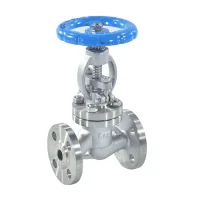 Клапан запорн нерж 15нж22нж Ду65 Ру40 фл WGCN