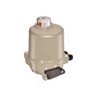 Электропривод ГЗ-ОФ-45/11К 220В F05 11х11 ГЗ Электропривод