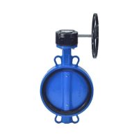 Затвор поворот чуг EPDM Ду250 Ру10/16 ред д/чуг Рус Benarmo