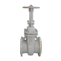 Задвижка ст 30с41нж Ду300 Ру16 фл Арма-Пром