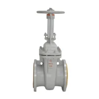 Задвижка ст 30с41нж Ду250 Ру16 фл Арма-Пром