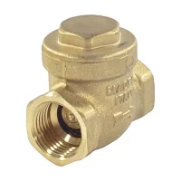 Клапан обр лат пов N5 Ду25 Ру16 м/м д/лат+NBR Giacomini N5Y005