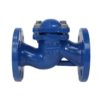 Клапан обр чуг подъем Ду125 Ру16 фл д/чуг Benarmo