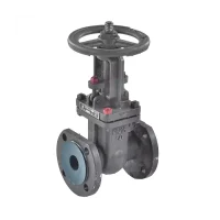 Задвижка ст 30с41нж Ду50 Ру16 фл Россия