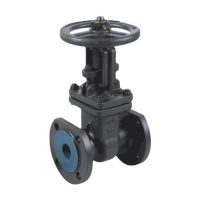 Задвижка ст 30с41нж Ду400 Ру16 фл WGCN.