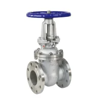 Задвижка нерж 30нж41нж Ду80 Ру16 фл BRDHSB