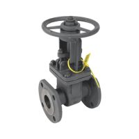 Задвижка ст 30с41нж Ду125 Ру16 фл BRDHSB 6