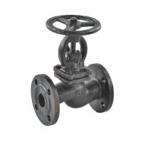 Клапан запорн чуг 15кч16нж Ду50 Ру25 фл RMCX