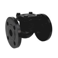 Клапан обр чуг подъем 16кч9нж Ду65 Ру25 фл д/чуг RMCX