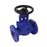 Клапан запорн чуг Ду125 Ру16 фл сильф Benarmo