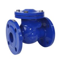 Клапан обр чуг пов Ду125 Ру10/16 фл д/чуг Benarmo